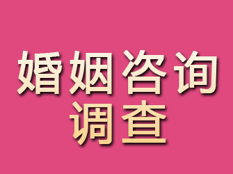 自流井婚姻咨询调查